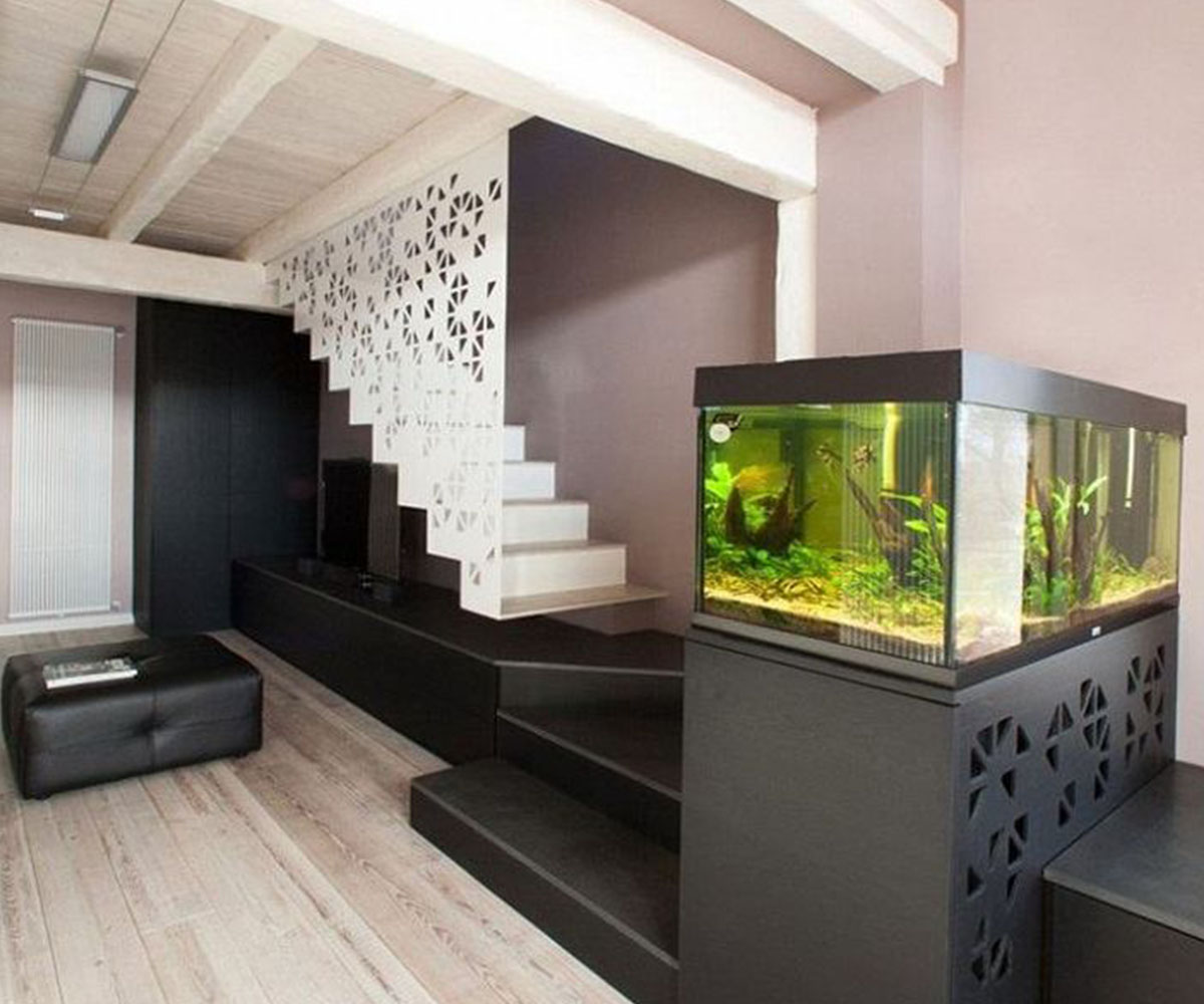 déménagement aquarium